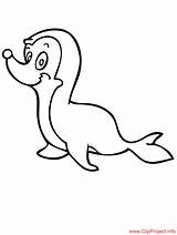 Tierbilder Seehund Malvorlage Coloringhome Ausdrucken sketch template