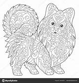 Pomeranian Zentangle sketch template
