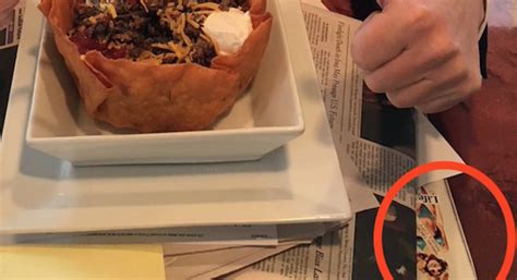 donald trump eats  taco salad    red blooded american  top    wife