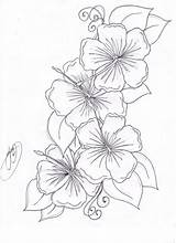 Hibiscus Tattoo Sketch Flowers Tattoos Designs sketch template