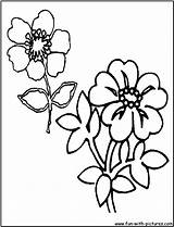 Coloring Pages Wildflowers Wild Flowers Fun Printable Popular sketch template