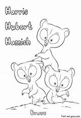 Hamish Hubert sketch template
