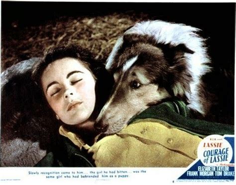 pin on elizabeth taylor in courage of lassie 1946