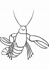 Lobster Drawing Funny Kids Coloring Clip Clipart Cute Cliparts Crawfish Handout Below Please Print Click Getdrawings Library sketch template