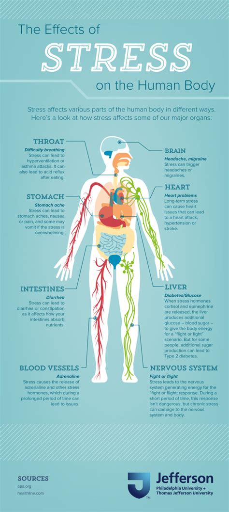 effects of stress on the human body jefferson online