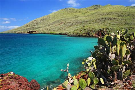galapagos islands     kind wildlife destination