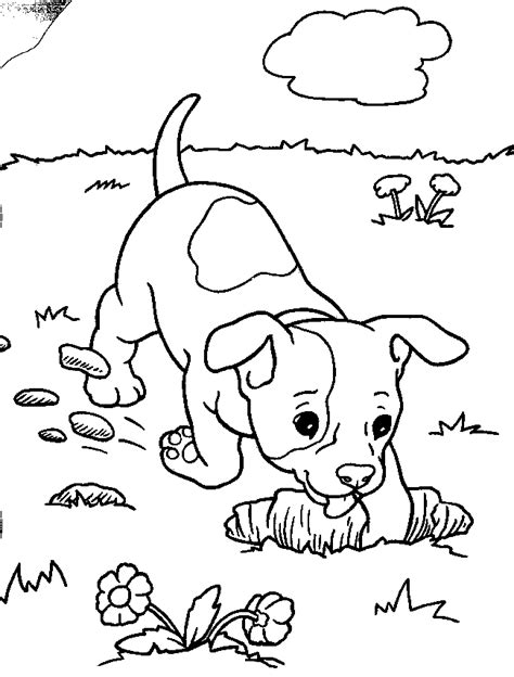 dogs  puppies coloring pagesfree imagesfun