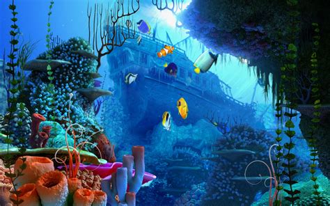 screensaver vollversion coral reef aquarium  screensaver version