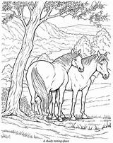 Horse Coloring Doverpublications Adult sketch template