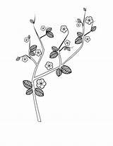 Cherry Blossom Coloring Pages Branch Tree Colouring Clipart Line Clipartbest Library Popular Printable Getcolorings Coloringhome Color sketch template