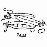 Peas Coloring Pages Pea Pod Kids Toy Colouring Story Color Momjunction Vegetable Printable Green Vegetables Sweet Toddlers sketch template