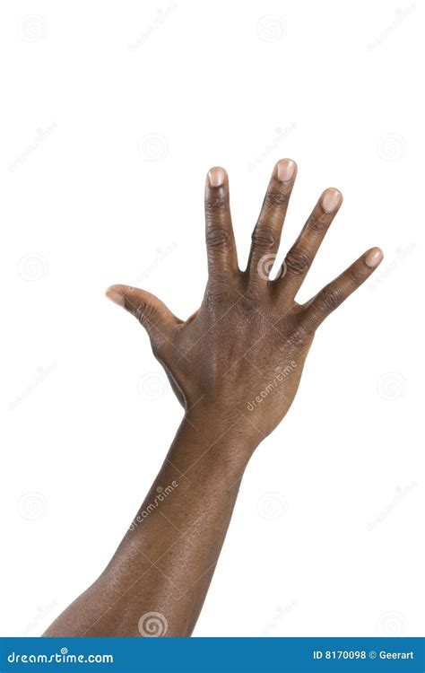 homme de main noire photo stock image du blanc doigt