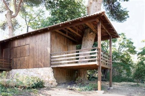 residential architecture  tree house  golany architects  house   appears