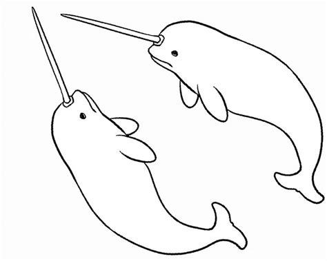 unicorn narwhal coloring page   printable narwhal coloring