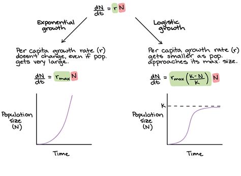 continuous exponential growth formula calculator