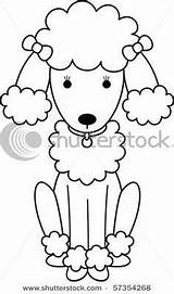 Poodle Drawing Coloring sketch template