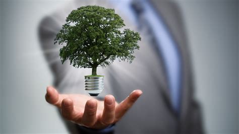 reasons  business world    sustainability experts grist