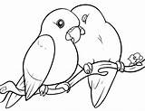 Mewarnai Burung Sketsa Hewan Diwarnai Lovebirds Merpati Binatang Peliharaan Untuk Fugle Jerapah Populer Putra Putri Darat Katak Avez Dragoart Dyr sketch template
