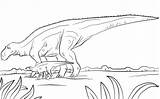 Pages Maiasaura Coloring Edmontosaurus Dino Cretaceous Anatosaurus Period sketch template