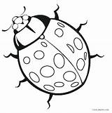 Coloring Ladybug Bug Pages Printable Realistic Kids Insect Cute Drawing Colouring Ladybird Lady Bugs Line Ladybugs Pill Getdrawings Print Cool2bkids sketch template
