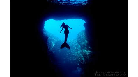 Mermaid Diving Into Ocean Memugaa