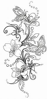Butterflies Metacharis Swirls Swirl sketch template