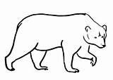 Bear Coloring Pages Brown Realistic Drawing Line Getdrawings Getcolorings Color Clipartmag sketch template