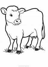 Hereford Cow Coloring Pages Xcolorings 56k Resolution Info Type  Size Jpeg sketch template