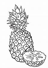 Coloring Pages Pineapple sketch template