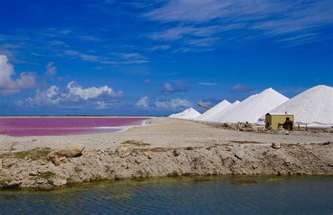 een roze zoutmeer foto barbaras reisblog