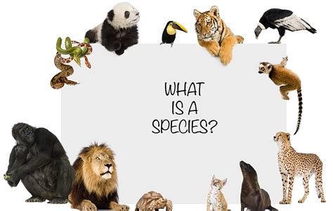 species worldatlas