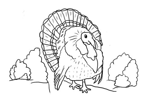 printable turkey coloring pages  kids turkey coloring pages