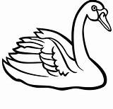 Swan Clipart Clip Drawing Line Tattoo Clipartmag Lake Getdrawings Svg Cliparts Clipground Find sketch template