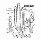 Cactus Coloring Pages Saguaro Toddlers Top Pear Prickly sketch template