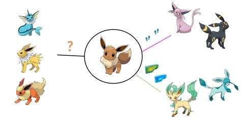 complete guide  eevee evolution  pokemon
