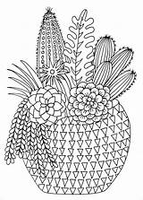 Succulents Coloring Pages Amazon Adult Book Books Stress Studio Portable Relieving Drawings Designs Getdrawings Drawing Mandala sketch template