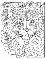 Animals Macmillan Zendoodle Magnificent Indiebound Barnes Powells sketch template