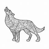 Wolf Coloring Adults Vector Book Illustration Zentangle sketch template