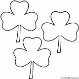 Coloring St Clover Leaf Three Patrick Clovers Pages Patricks Shamrock Printable Clove Trinity Saint Print Color Bigactivities Clipart Ig Sheets sketch template
