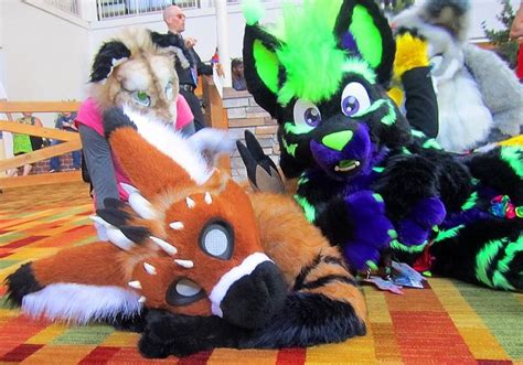 27 best images about cute fursuits on pinterest coyotes catch em all and roxy