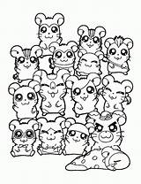 Hamtaro Coloring Pages Books sketch template