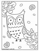 Eule Malvorlage Ausmalbilder Owls Eulen Verbnow Aufmerksam Malvorlagen sketch template