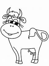 Cow Dairy Coloring Pages Eyelashes Long Netart sketch template