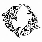Maori Dolphin Tattoo Shark Polynesian Tribal Tattoos Symbol Tatuaggi Pzc Hai Samoan sketch template