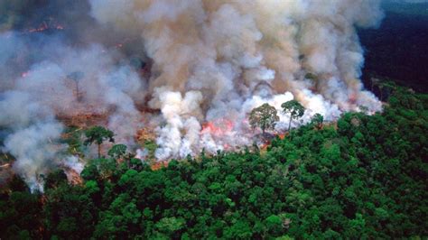 amazon rainforest fire brazils forest blaze   record setting  nasa latestly