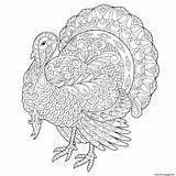 Zentangle Turkey Estilizado Pássaro sketch template