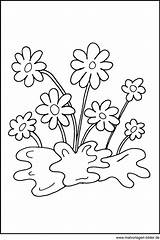 Malvorlage Blume Malvorlagen Fensterbild Blueten Datei sketch template