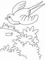 Coloring Swallow Flying Bird Pages Color Kids Getcolorings sketch template
