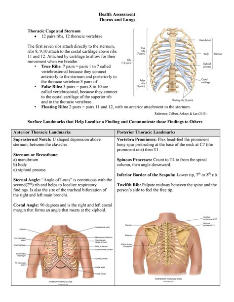 health assessment thorax  lungs thoracic cage  sternum health