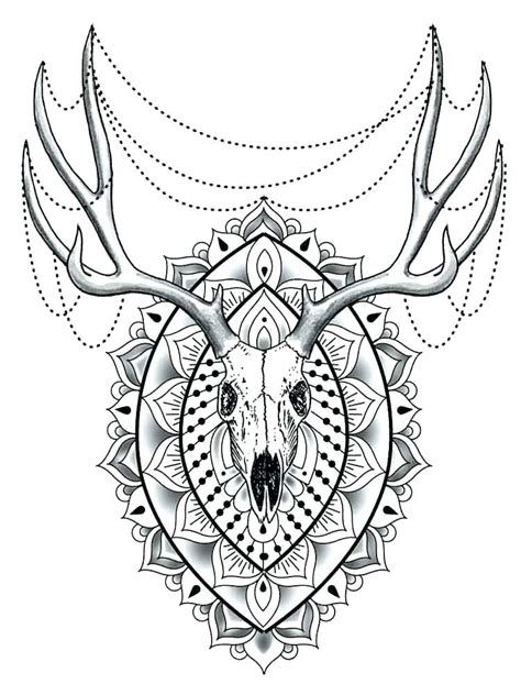 printable animal coloring pages  adults  garret johnston